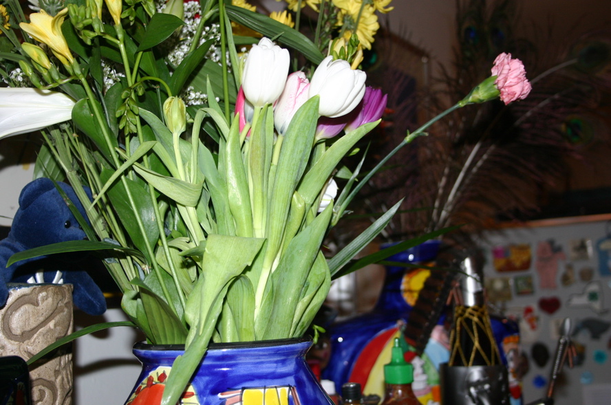 IMG_7152.JPG
