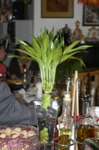IMG_7147.JPG
