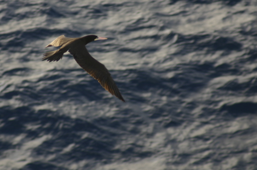 IMG_6257.JPG