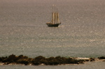 IMG_6205.JPG
