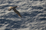 IMG_6257.JPG
