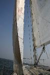 IMG_0998.JPG